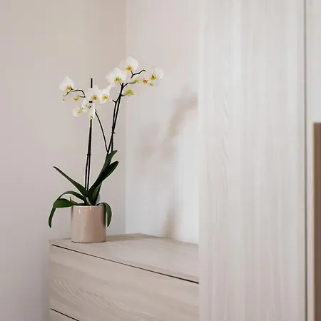 Le Di Salvia Apartment *